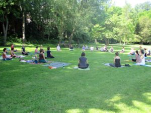 Outdoor Yoga im Park in Weimar Steffen Katz im Juni 2014
